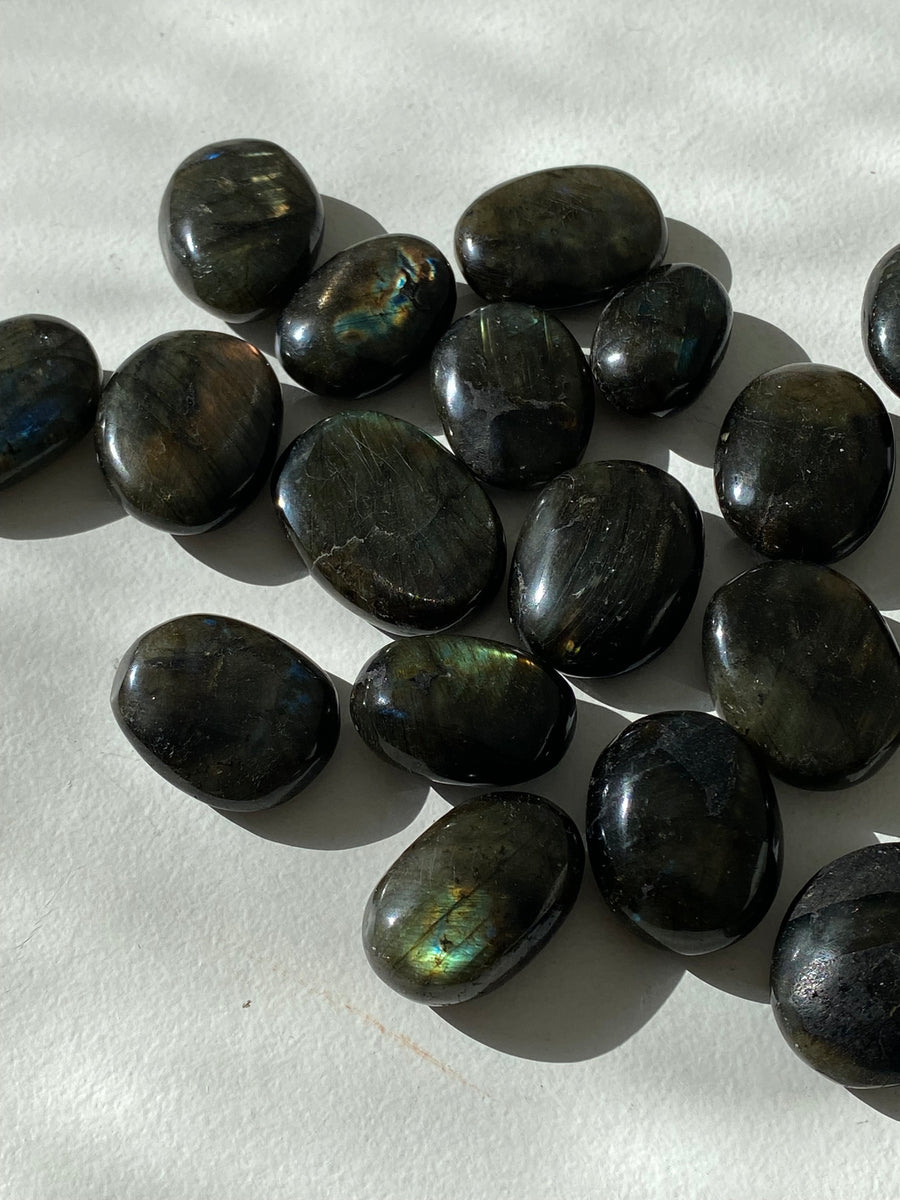 LABRADORITE : BOUCLIER