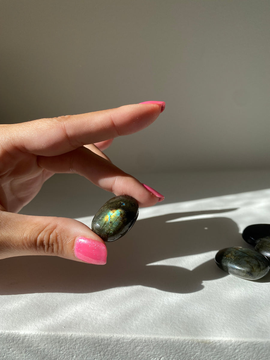 LABRADORITE : BOUCLIER